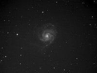 M101 WIP