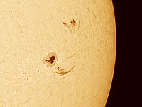 Large Sun Spot with Looping Prom